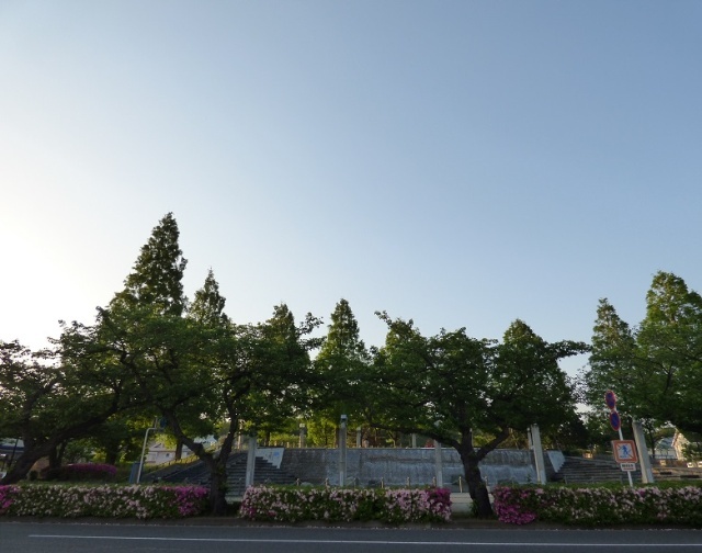 公園　新本牧公園（公園）まで828m