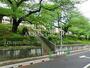 公園　清和公園（公園）まで451m