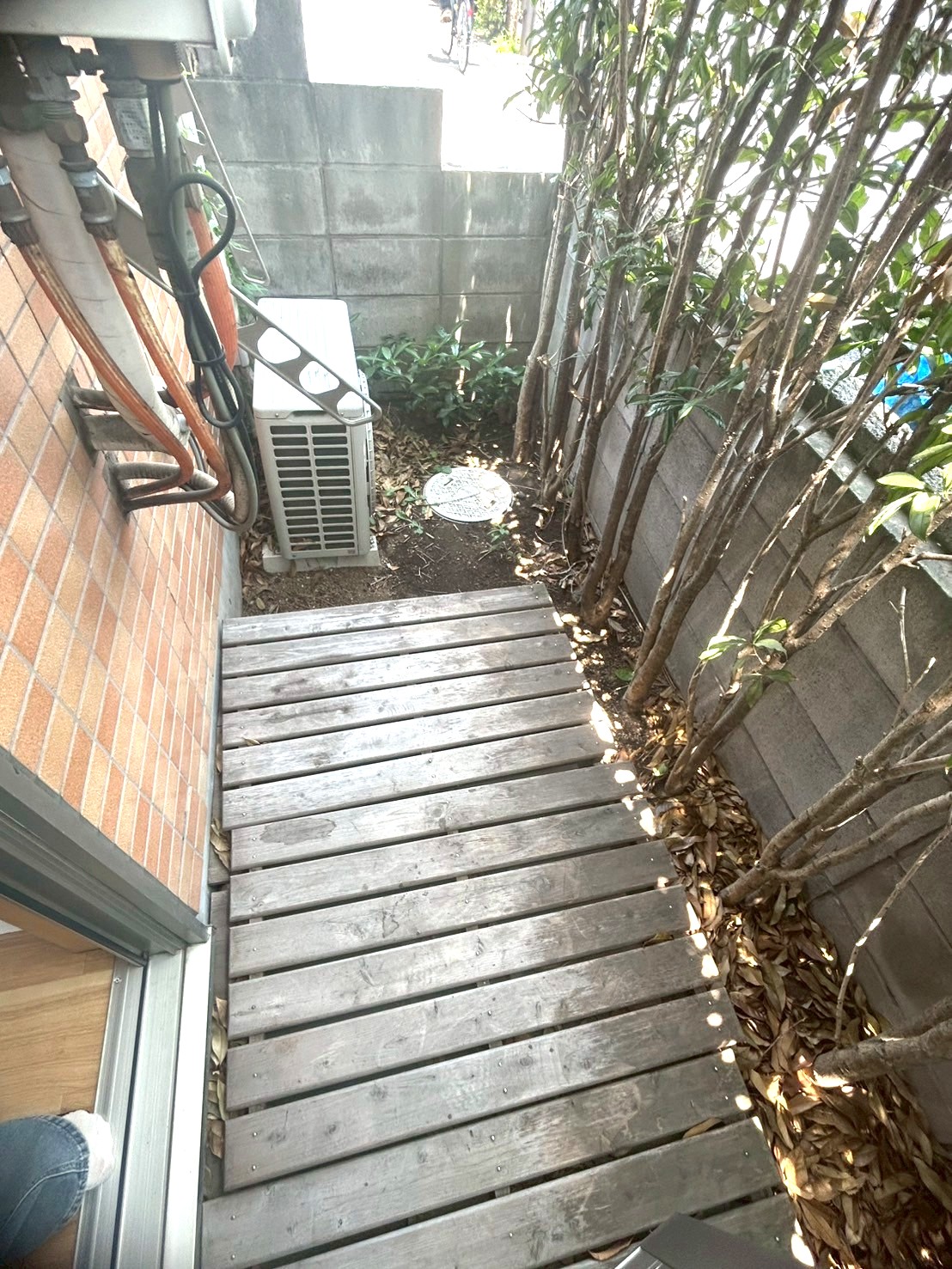 庭　専用庭