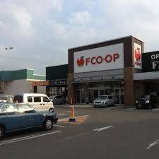 スーパー　FCO・OP新宮店（スーパー）まで376m