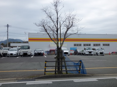 その他　ダイレックス 室園店（その他）まで1094m