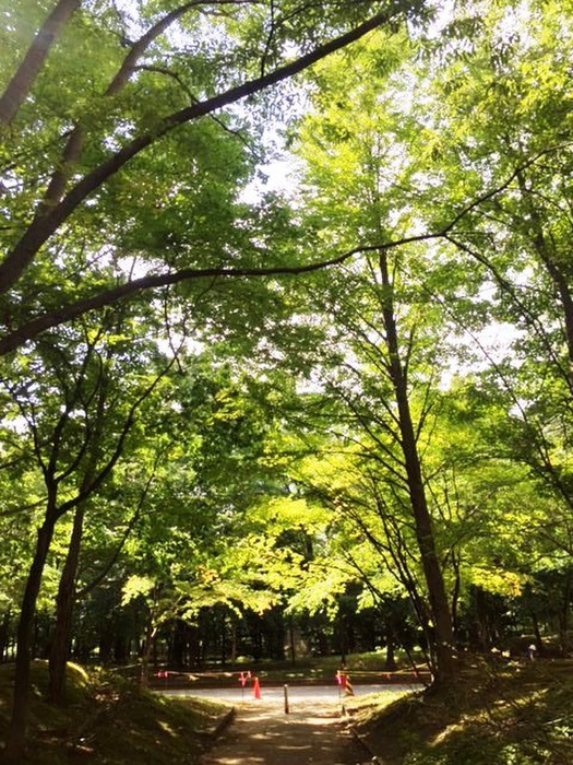 公園　中島公園（公園）まで180m
