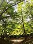 公園　中島公園（公園）まで180m