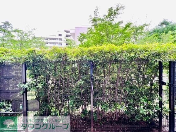 Brillia ist 三軒茶屋 ブラッサムテラスの内装写真