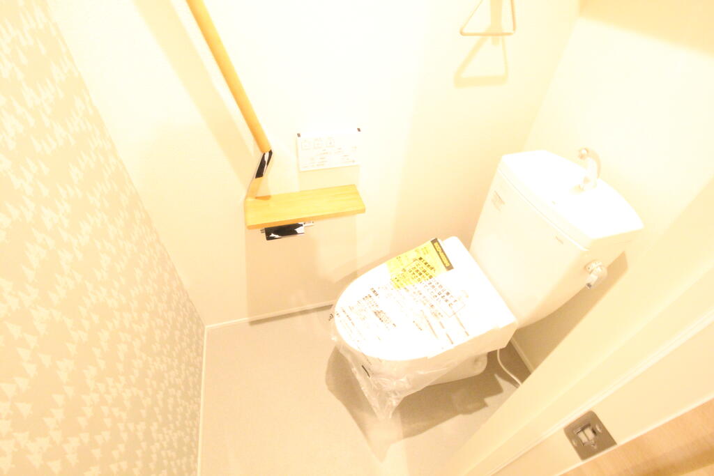 ＪＲ牟岐線 阿波富田駅 徒歩29分 4階建 築1年のトイレ写真