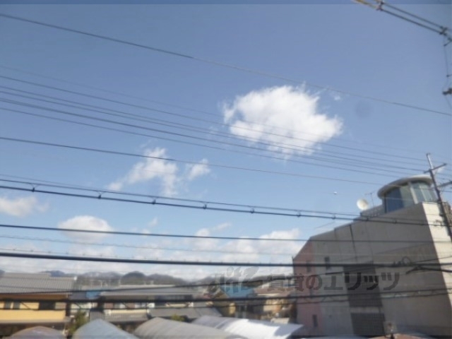 ライラックのその他写真