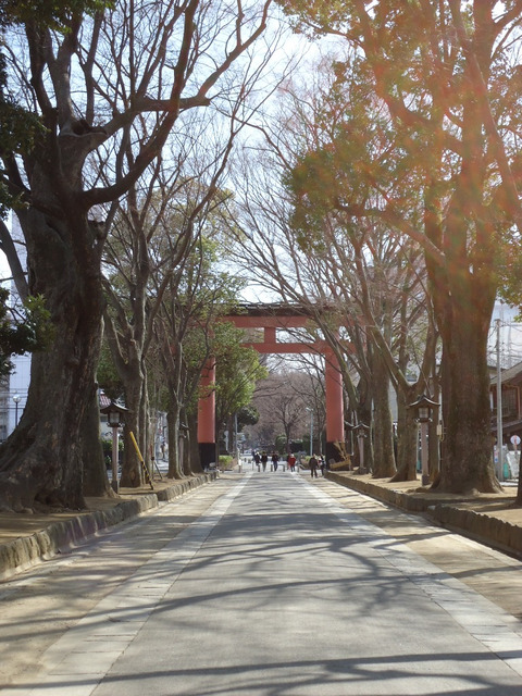 その他　氷川神社（その他）まで370m
