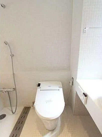 デルックス祐天寺IIのトイレ写真