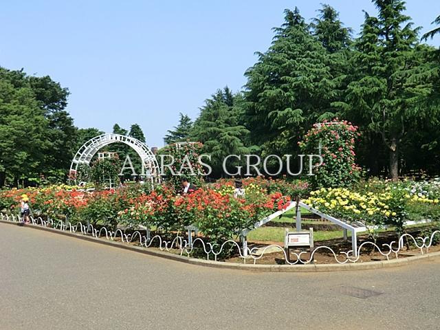 公園　代々木公園（公園）まで730m