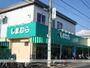 その他　しまむらストアー中里店（その他）まで1178m