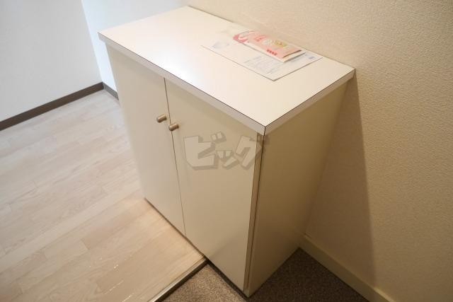 その他　大容量のシューズボックスが付いています♪
