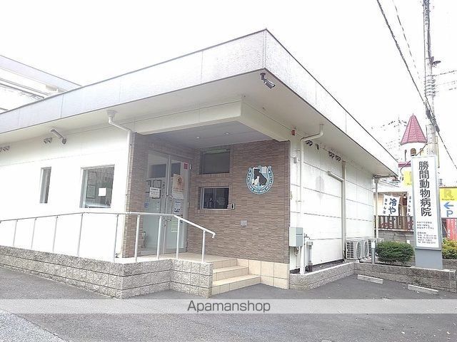 その他　勝間動物病院（その他）まで700m