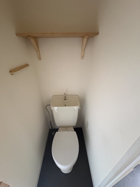 シャトーブランピエールのトイレ写真