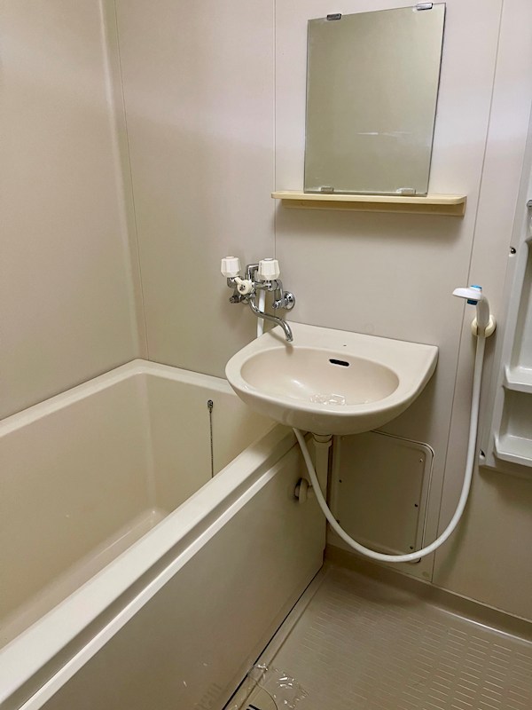 バス・シャワールーム　洗面ボウル付きの浴室