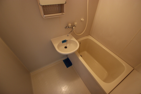 バス・シャワールーム　※別部屋の写真です