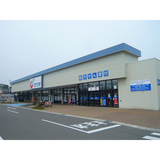 ドラックストア　カワチ薬品野村店（ドラッグストア）まで1177m