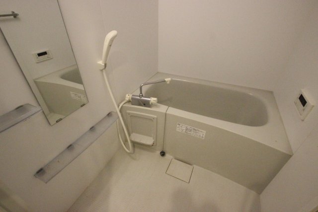 バス・シャワールーム　別号室の写真です