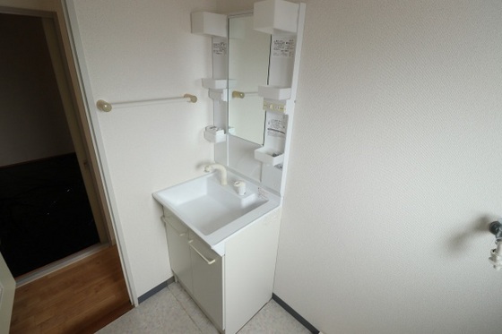洗面設備　※別号室の写真です