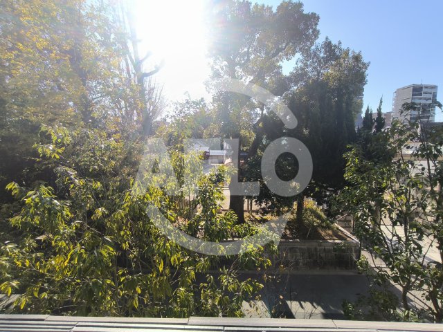 眺望　ジオエント福島野田レジデンス　眺望