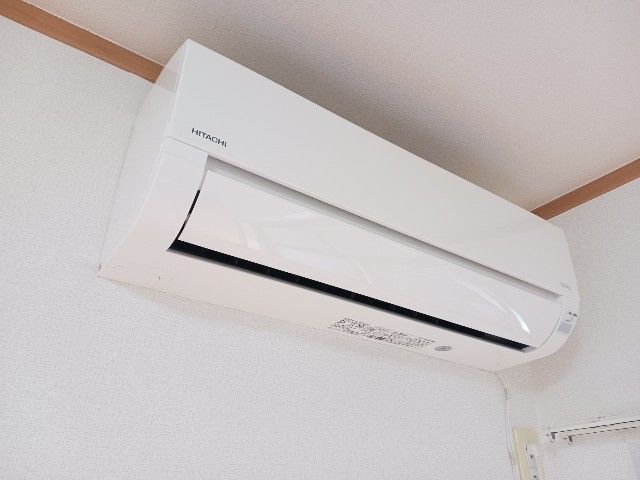 Dia Craneのその他写真
