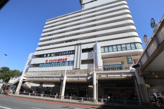 スーパー　京急ストア追浜店（スーパー）まで709m