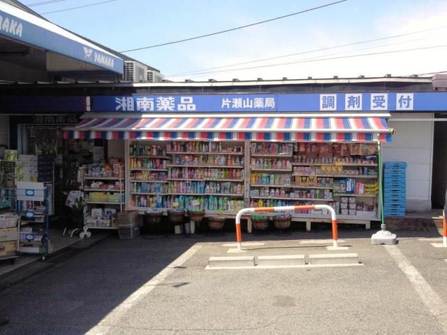 ドラックストア　湘南薬品片瀬山薬局（ドラッグストア）まで600m