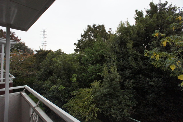 眺望　お部屋前には緑があるので、心癒されます☆