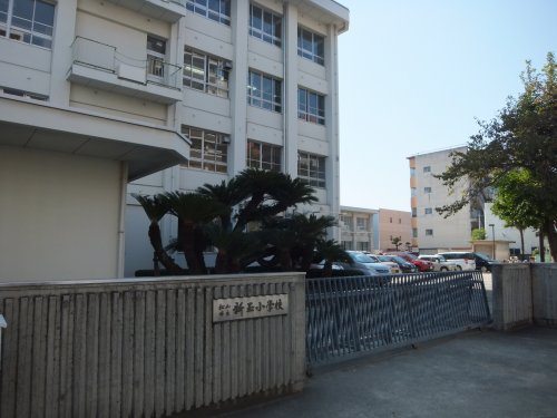 小学校　松山市立新玉小学校（小学校）まで1247m