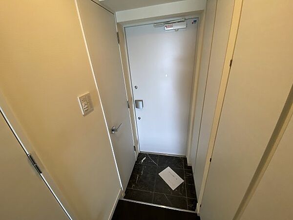 玄関　（別タイプ参考写真）AXAS東十条アジールコート　北区東十条