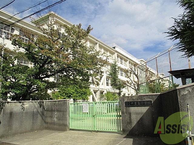 小学校　中豊島小学校（小学校）まで339m