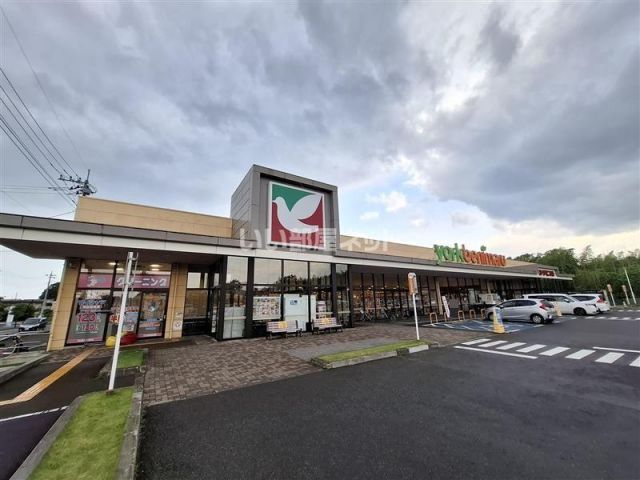 スーパー　ヨークベニマル友部店（スーパー）まで1221m