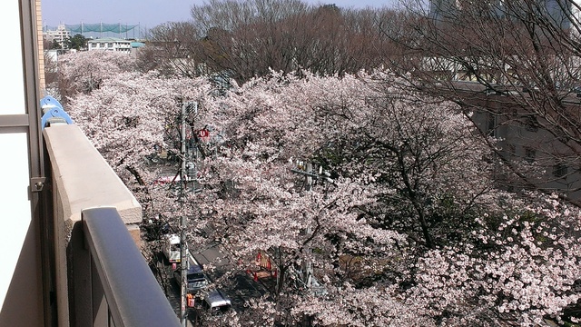 眺望　春の景色