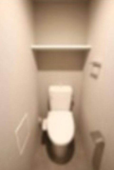 トイレ　※同仕様写真含む