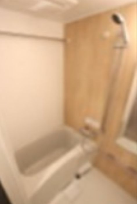 バス・シャワールーム　※同仕様写真含む