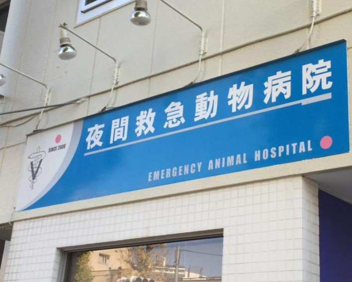 病院　夜間救急動物病院 目黒（病院）まで2122m