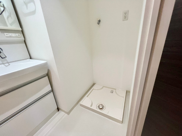 洗面設備　洗面、脱衣所に洗濯機置場です