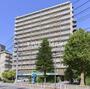 MFPRコート木場公園 8階 築19年の賃貸物件