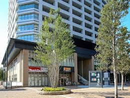 幼稚園・保育園　グローバルキッズ西新宿園（幼稚園・保育園）まで140m