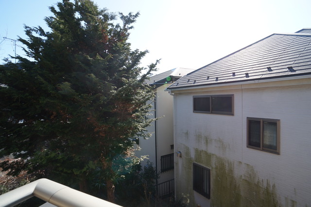 眺望　お部屋からの景色です♪