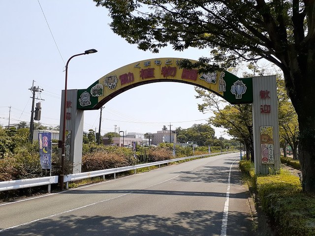 その他　熊本市動植物園（その他）まで450m