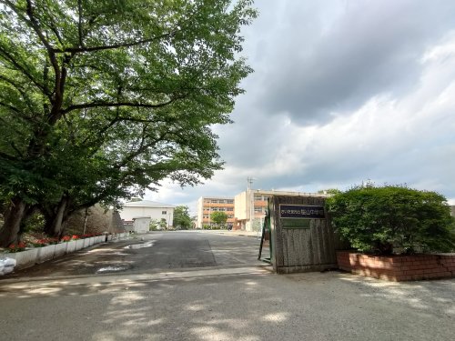 中学校　さいたま市立桜山中学校（中学校）まで1006m