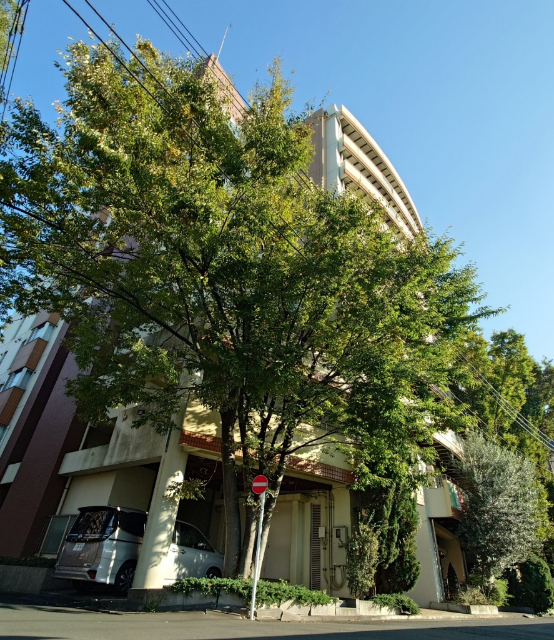建物外観　人気の鶴見エリアです