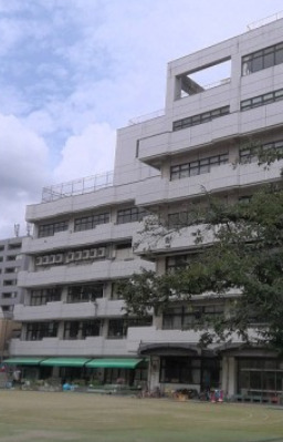 小学校　千代田区立和泉小学校（小学校）まで875m