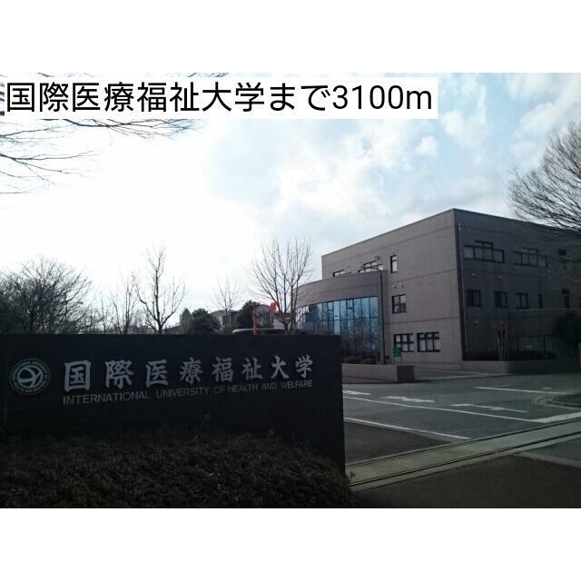 大学・短大　国際医療福祉大学（大学・短大）まで3100m