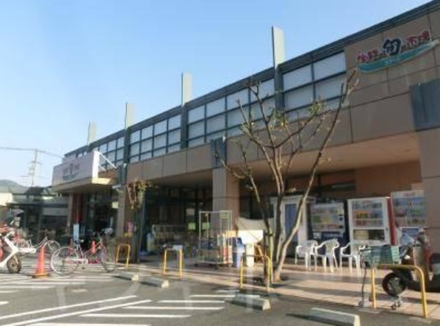 スーパー　YOURS(ユアーズ) 府中店（スーパー）まで530m