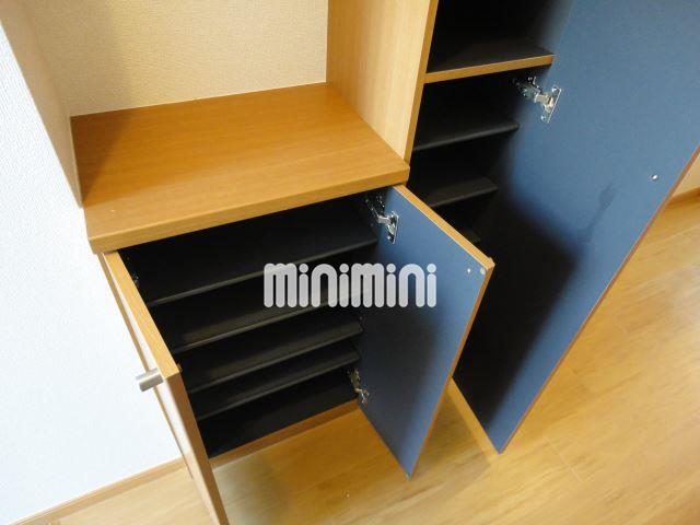その他　玄関収納はたっぷり入るサイズです