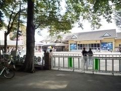 幼稚園・保育園　小平神明幼稚園（幼稚園・保育園）まで805m