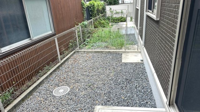 庭
