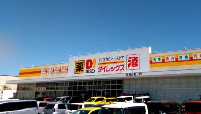 スーパー　ダイレックス　加古川野口店（スーパー）まで600m