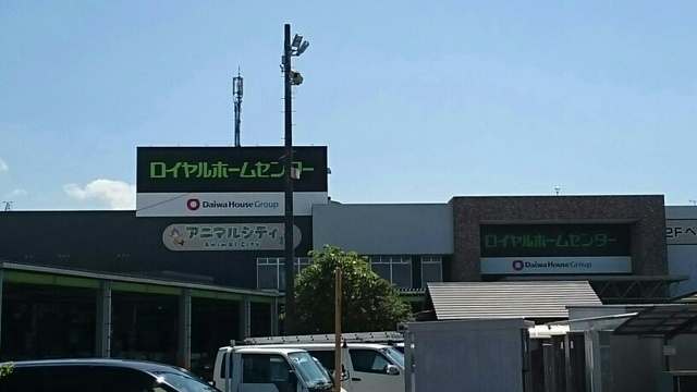 ホームセンター　ロイヤルホームセンター（ホームセンター）まで880m